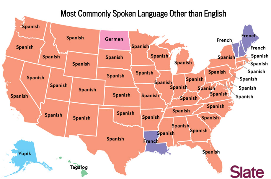 Usa Language Chart